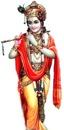 krsna